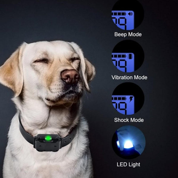 Dog Electric Collar with Remote Control, Dog Training Electric Collar, Waterproof Rechargeable, 800 Meters Dog Electric Collar, LED Lamp, Beep, Vibration, Medium / Large 3 Electronic Collars