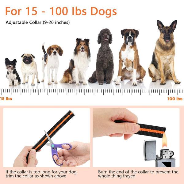 Dog Training Collar with 2 Collars,  IPX7 Waterproof Dog Shock Collar with Remote Range 1300ft  for Small Medium Large Dogs