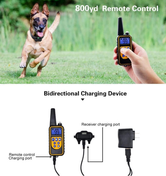 Dog Electric Collar with Remote Control, Dog Training Electric Collar, Waterproof Rechargeable, 800 Meters Dog Electric Collar, LED Lamp, Beep, Vibration, Medium / Large 3 Electronic Collars