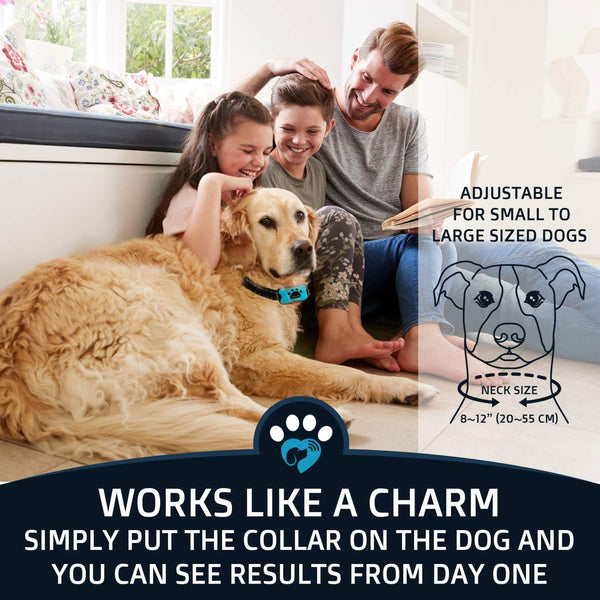 Anti Bark Collar, No Shock Training Dog Collar,  Humane with Vibration and Sound Barking Collar for Small Medium Large Dogs 5-100lbs