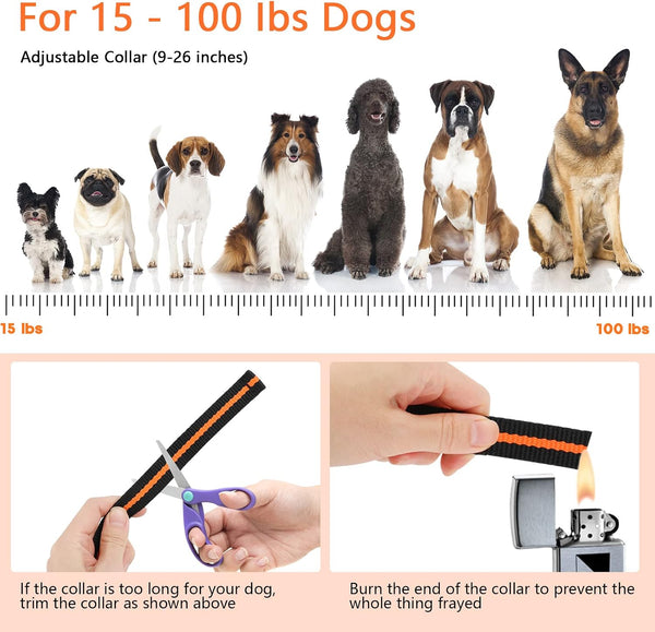 Dog Training Collar with 1 Collar,  IPX7 Waterproof Dog Shock Collar with Remote Range 1300ft  for Small Medium Large Dogs