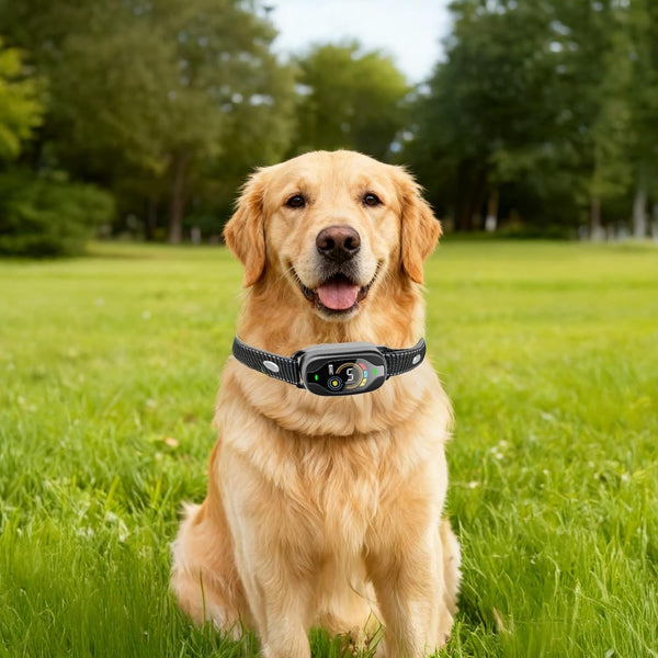 Smart Bark Collar Rechargeable Dogs, Color Display, 25 in 63.5 cm Reflective Nylon Strap, Waterproof Anti Barking Device