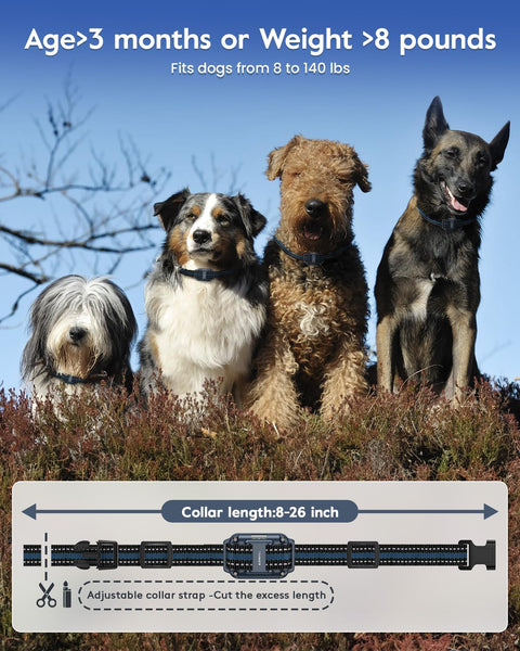 Dog Training Collar, 4200FT Remote Shock Collar for Dogs 8-140lbs